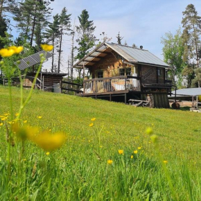 Holzhütte allein am Waldrand